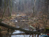 1053_img_7726