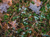1125_img_7776