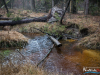 1127_img_7781