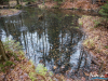 1159_img_7841