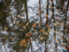 1159_img_7842