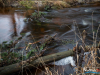 1201_img_7847