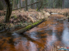 1202_img_7856