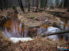 1204_img_7867