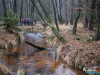 1204_img_7869