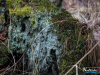 1205_img_7873