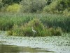 dscf7752