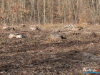 1437img_7172