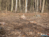 1439img_7173