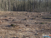 1440img_7177