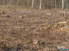 1441img_7185