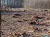 1445img_7196
