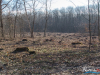 1446img_7198