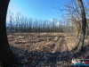 1555img_7177_03_05_2017