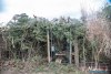 1612IMG_9714