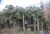 1612IMG_9715