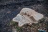 1632IMG_9732