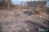 1632IMG_9733