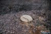 1633IMG_9735