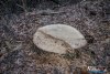 1633IMG_9736