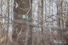 1634IMG_9739