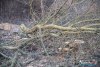 1636IMG_9741