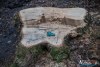 1641IMG_9745