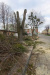 338371903_190121020466500_603679938929872969_n_wynik