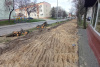 338506794_733951661794253_2096904508581104248_n_wynik