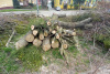 339672530_990939432173657_4716945156573482987_n_wynik