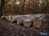 0836img_0732