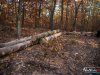 0836img_0735