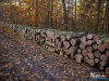 0837img_0742