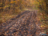 0849img_0777