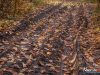 0849img_0778