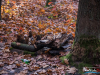 0853img_0788