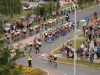 image_0443