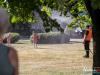1652img_5277_07_01_2017