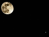 P3140274