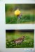 1659IMG_2569