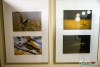 1659IMG_2573