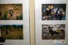 1659IMG_2574