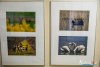 1659IMG_2575