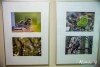 1659IMG_2576