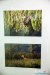 1659IMG_2578
