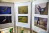 1700IMG_2593