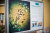1222IMG_1992_wynik