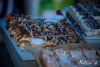 1049IMG_9703