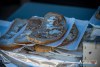 1118IMG_9777