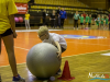 1232img_6003